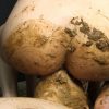 Thumbnail of related posts 021