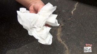 Thumbnail of post image 029