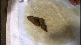 Thumbnail of post image 103