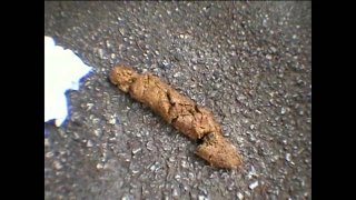 Thumbnail of post image 026