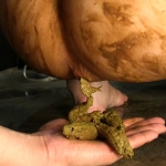 Thumbnail of post image 087