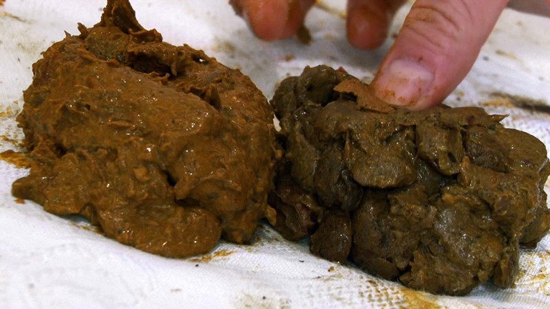 Thumbnail of post image 002