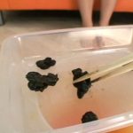 Thumbnail of related posts 165