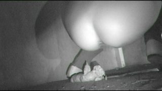 Thumbnail of post image 099