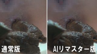 Thumbnail of post image 044